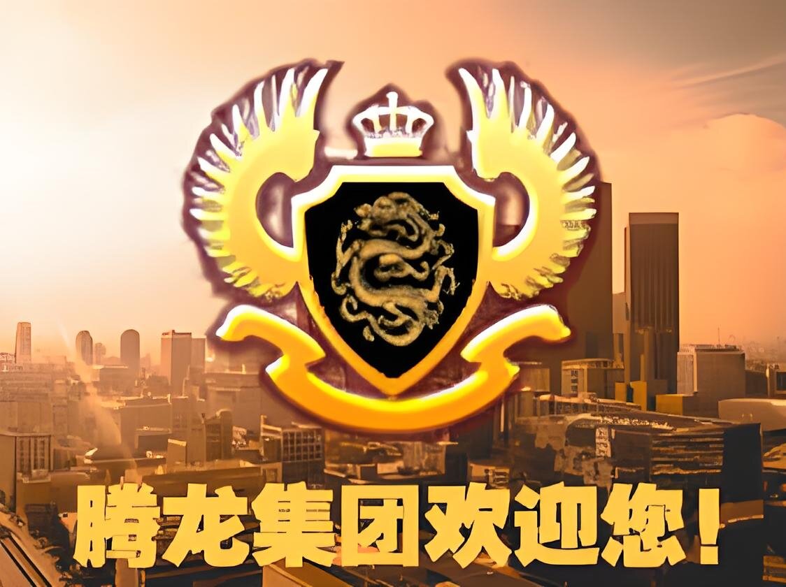 腾龙平台介绍图